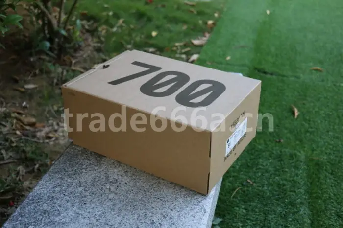 Authentic Yeezy 700 V3 “Srphym” 