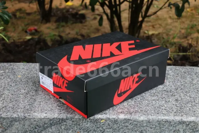 Authentic Air Jordan 1 “Rookie of the Year” 