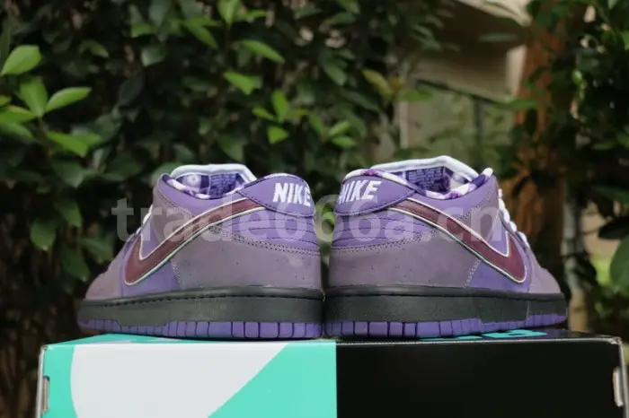 Authentic Nike Dunk SB Concepts Purple Lobster 