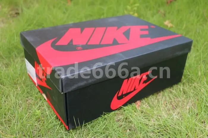 Authentic Air Jordan 1 Retro Shadow 