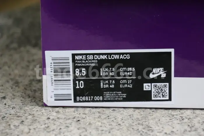 Authentic Nike SB Dunk Low “ACG” 