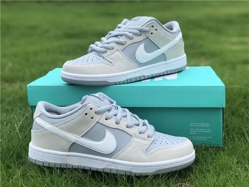 Authentic Nike Dunk SB Low TRD AR0778-110 