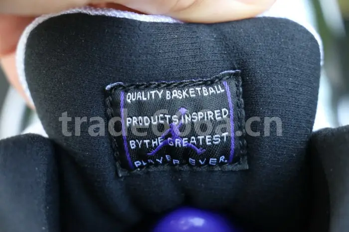 Authentic Air Jordan 11 “Concord” Retro 2018 