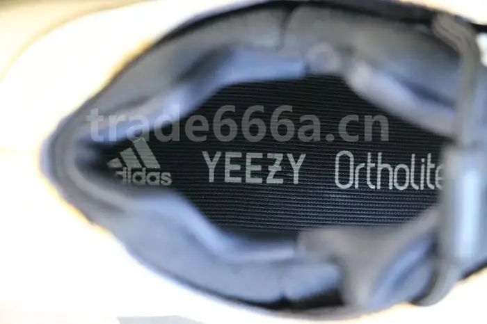 Authentic Yeezy 700 V3 “Srphym” 
