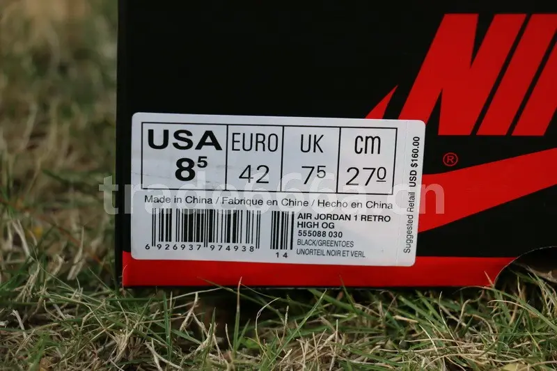 Authentic Air Jordan 1 Retro High OG “Pine Green” 