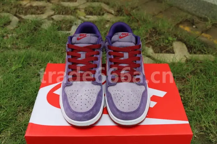 Authentic Nike Dunk Low “Plum” 