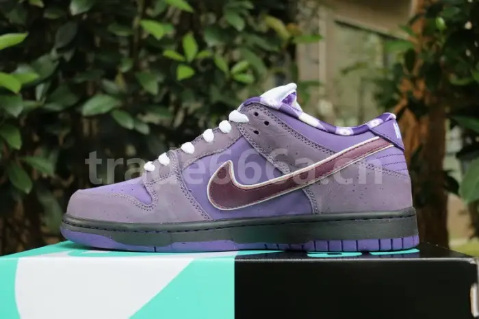 Authentic Nike Dunk SB Concepts Purple Lobster 