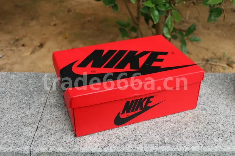 Authentic Air Jordan 1 High Zoom R2T 