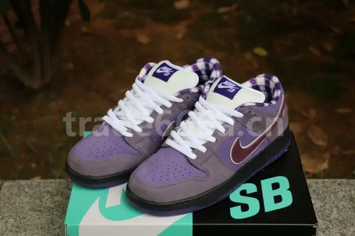 Authentic Nike Dunk SB Concepts Purple Lobster 