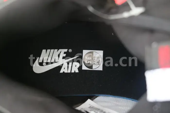 Authentic Air Jordan 1 Retro High OG “Homage To Home” 