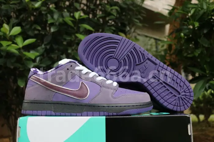 Authentic Nike Dunk SB Concepts Purple Lobster 