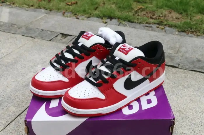 Authentic Nike Dunk SB Low “Chicago” EEC134