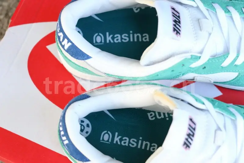 Authentic Kasina x Nike Dunk Low 