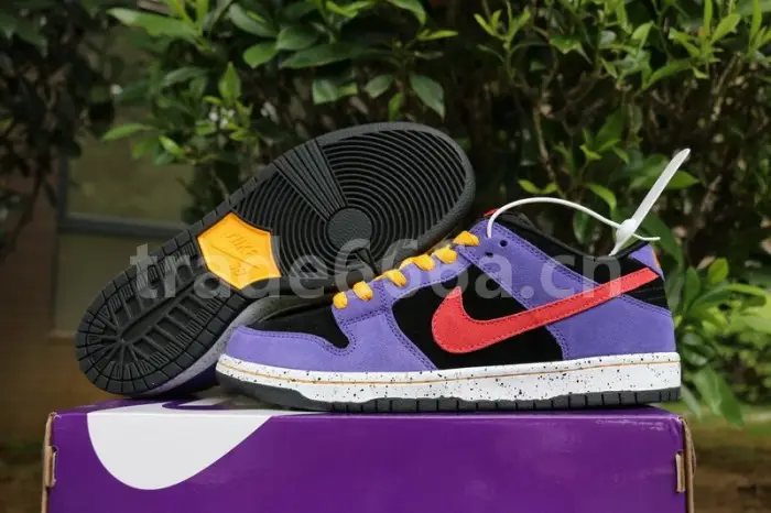 Authentic Nike SB Dunk Low “ACG” 