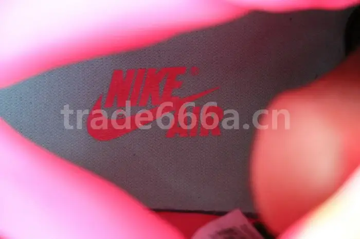 Authentic Air Jordan 1 High OG “Bio Hack” 