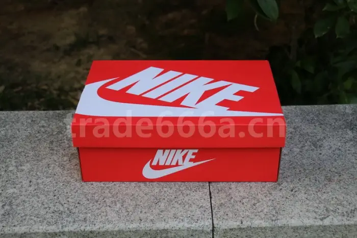 Authentic Nike Dunk High “Michigan” 