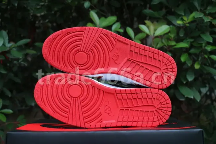 Authentic Air Jordan 1 Retro High OG “Homage To Home” 