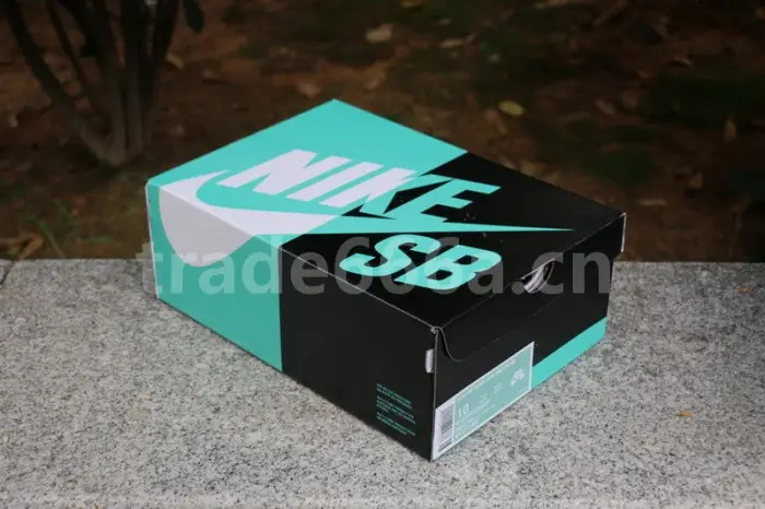 Authentic Nike Dunk SB Concepts Purple Lobster 