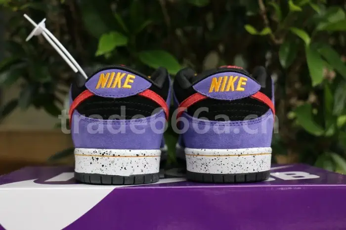 Authentic Nike SB Dunk Low “ACG” 