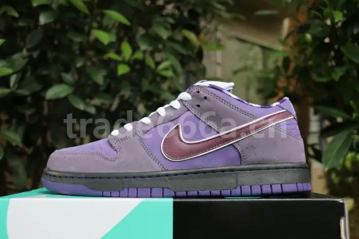 Authentic Nike Dunk SB Concepts Purple Lobster 