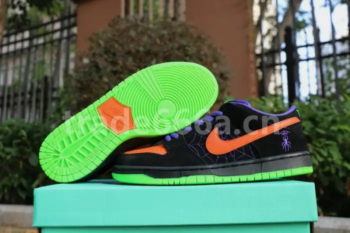 Authentic Nike SB Dunk Low “Night of Mischief” 