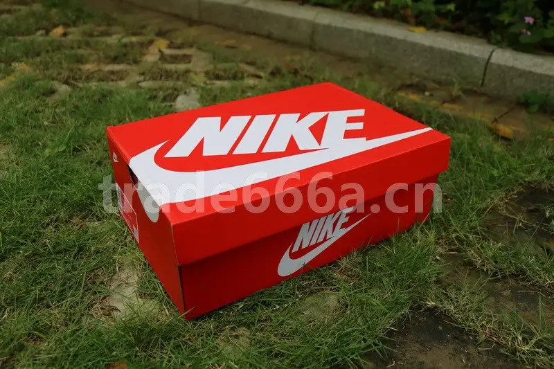 Authentic Nike Dunk Low “Plum” 