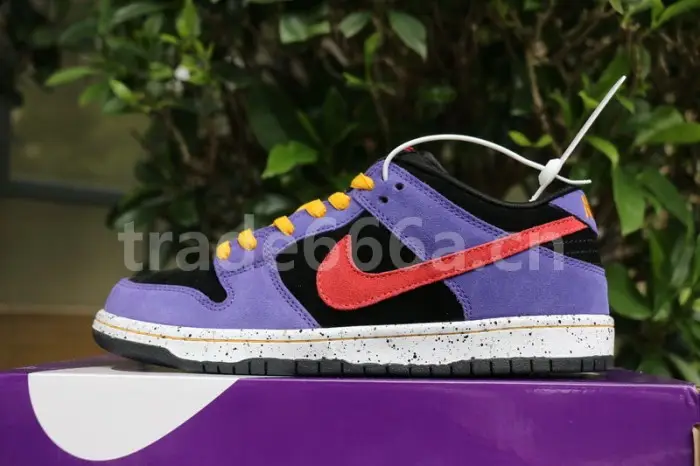 Authentic Nike SB Dunk Low “ACG” 
