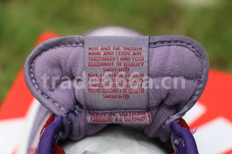 Authentic Nike Dunk Low “Plum” 