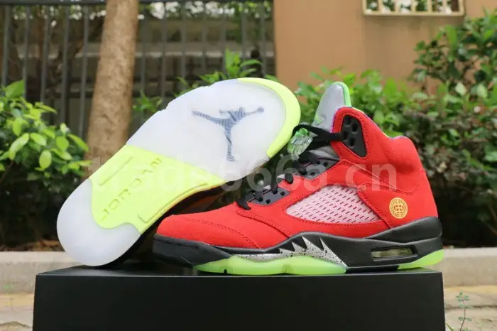 Authentic Air Jordan 5 “What The” 