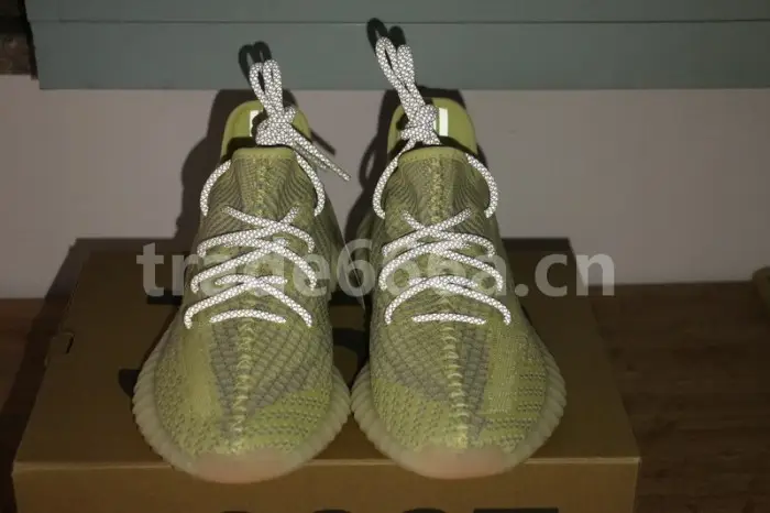 Authentic Yeezy Boost 350 V2 “ANTLIA” 