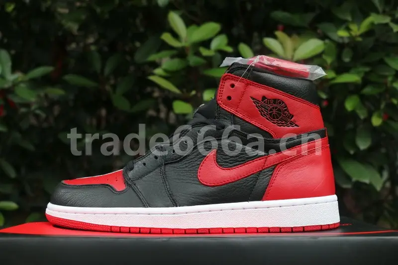 Authentic Air Jordan 1 Retro High OG “Homage To Home” 