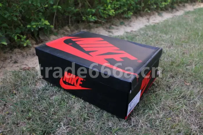 Authentic Air Jordan 1 Retro High OG “Pine Green” 