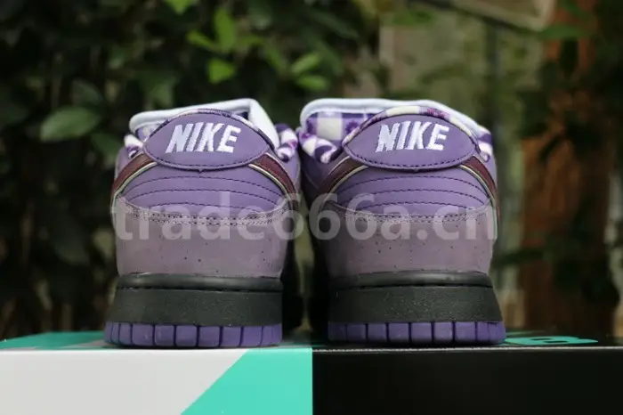 Authentic Nike Dunk SB Concepts Purple Lobster 