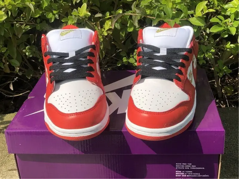 Authentic Supreme x Nike SB Dunk Low Red 