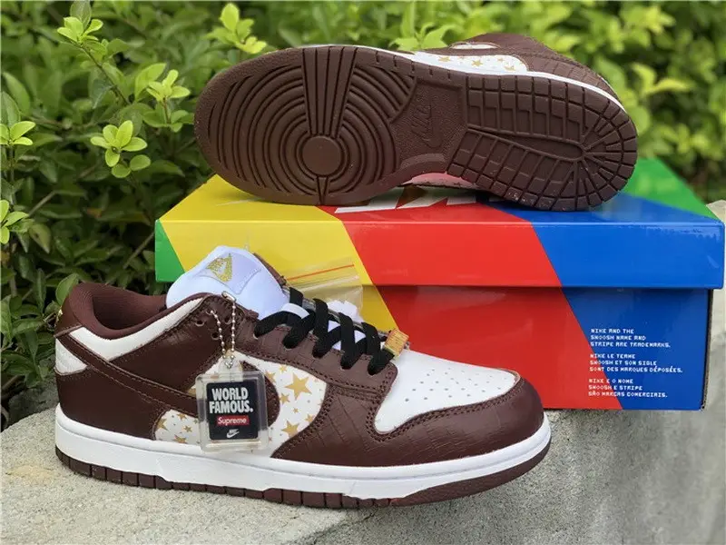 Authentic Supreme x Nike SB Dunk Low Brown 