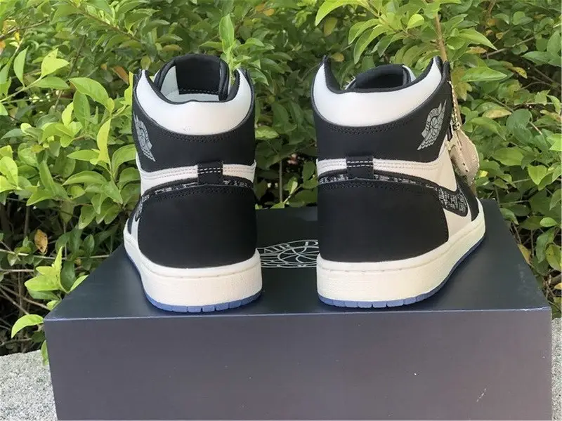 Dior x Air Jordan 1 Black 