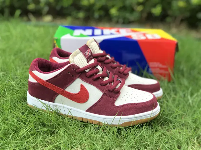 Authentic Skate Like a Girl x Nike SB Dunk Low 