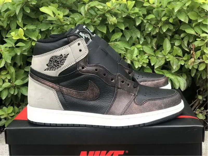 Authentic Air Jordan 1 High OG “Rust Shadow” 