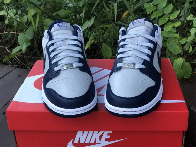Authentic NBA x Nike Dunk Low “Brooklyn Nets” 