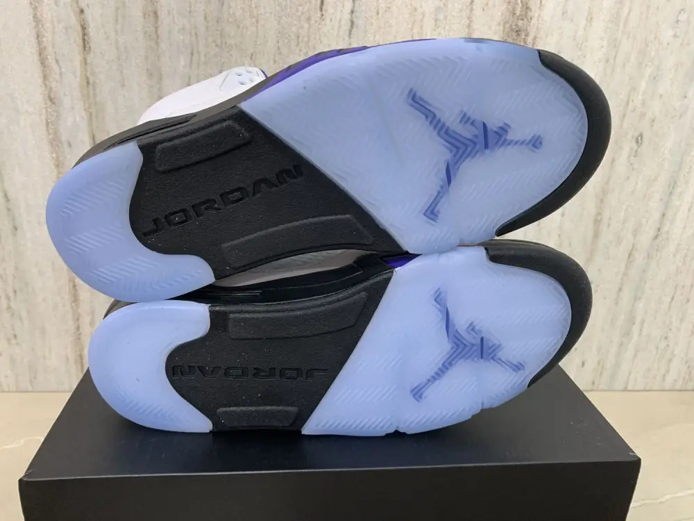 Authentic Air Jordan 5 “Concord” 