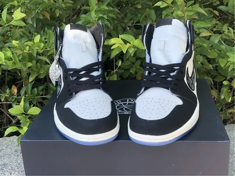 Dior x Air Jordan 1 Black 