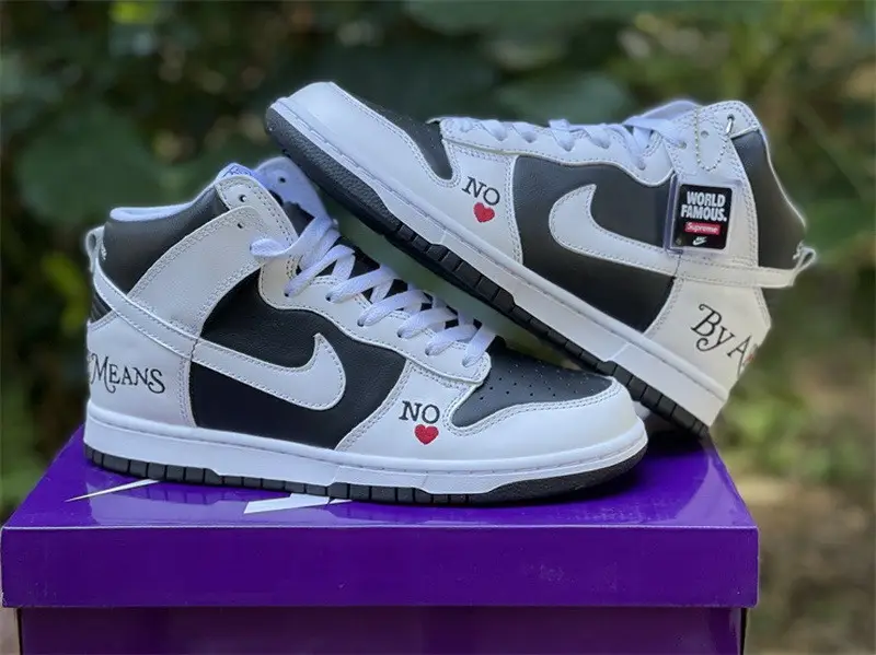 Authentic Supreme x Nike SB Dunk High QS “By Any Means”White Black 