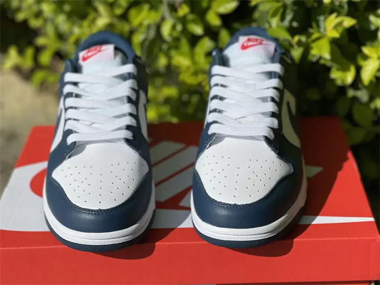 Authentic Nike Dunk Low＂Valerian Blue＂ 
