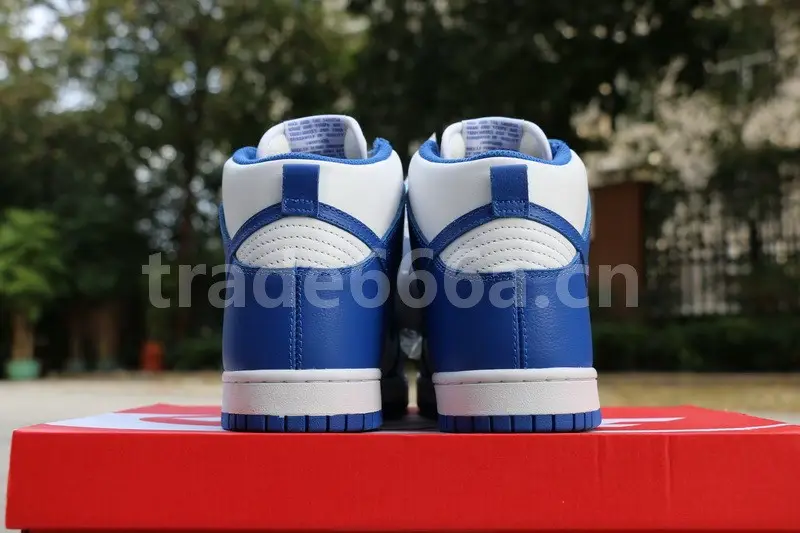 Authentic Nike Dunk Hi Blue White 