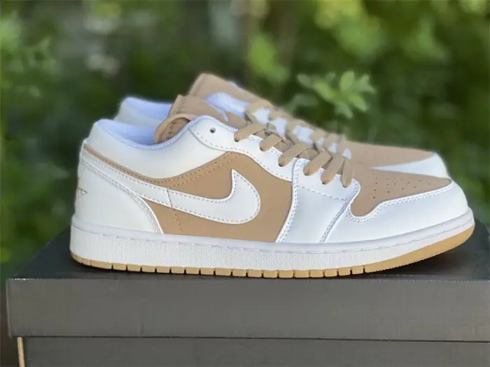 Authentic Air Jordan 1 Low DN6999-100 