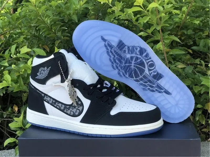 Dior x Air Jordan 1 Black 