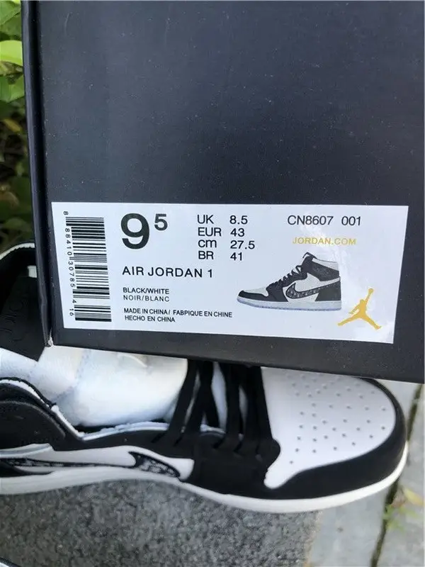 Dior x Air Jordan 1 Black 