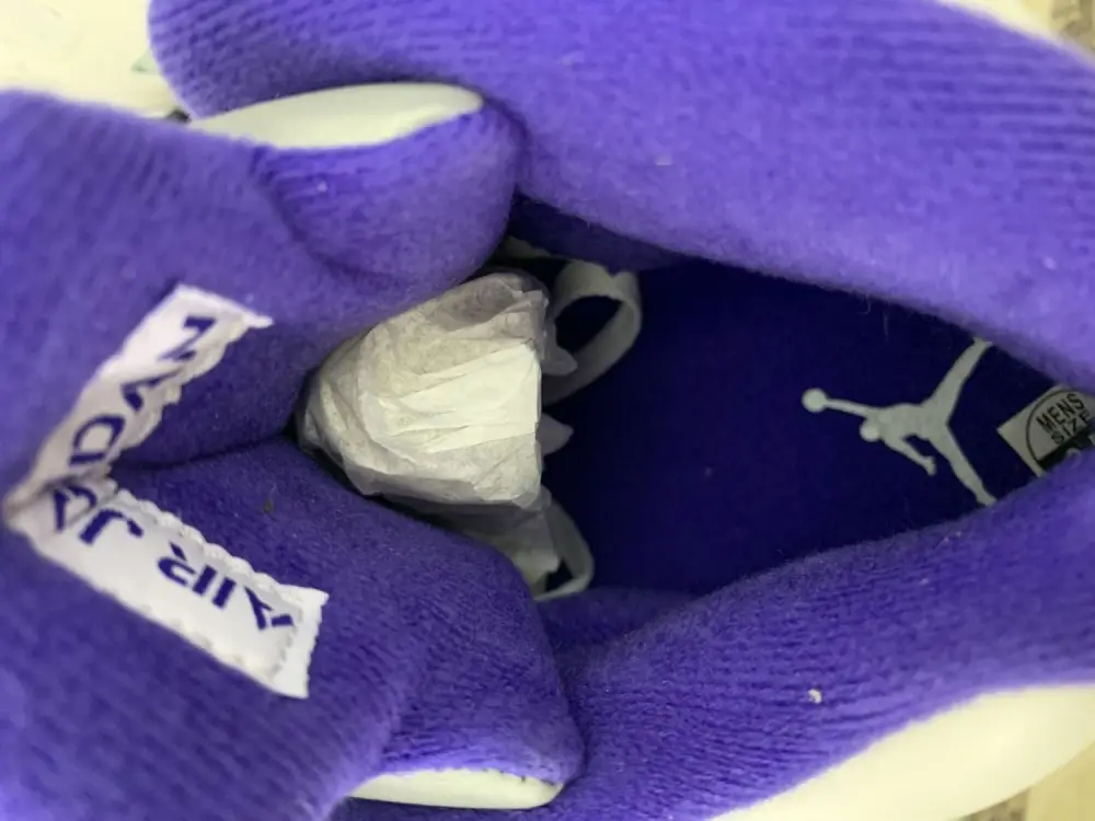 Authentic Air Jordan 5 “Concord” 