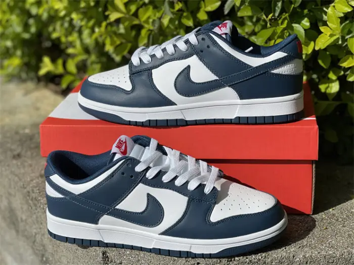 Authentic Nike Dunk Low＂Valerian Blue＂ 