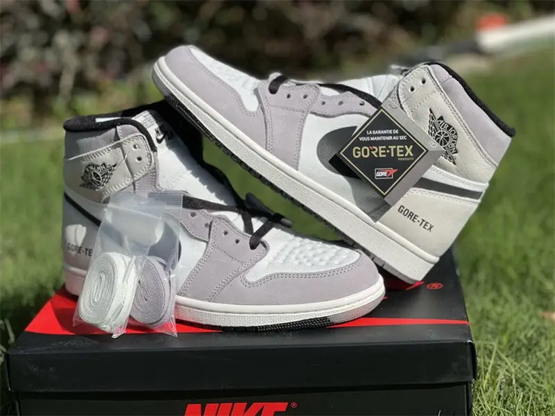 Authentic Air Jordan 1 Element Gore-Tex Light Bone 